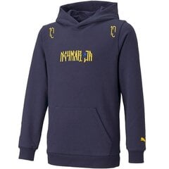 Poiste dressipluus Puma Neymar JR Hero Hoody Jr. 605545 06, tumesinine цена и информация | Свитеры, жилетки, пиджаки для мальчиков | kaup24.ee