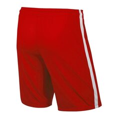 Lühikesed spordipüksid Nike League Knit Junior 725990-657, 50011 hind ja info | Poiste lühikesed püksid | kaup24.ee