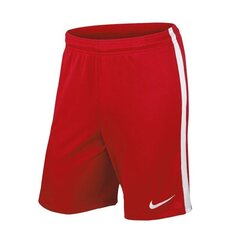 Lühikesed spordipüksid Nike League Knit Junior 725990-657, 50011 hind ja info | Poiste lühikesed püksid | kaup24.ee