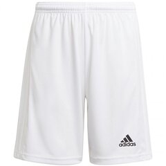 Спортивные шорты для мальчиков Adidas Squadra 21 Short Youth Jr GN5765, белые цена и информация | Poiste lühikesed püksid | kaup24.ee