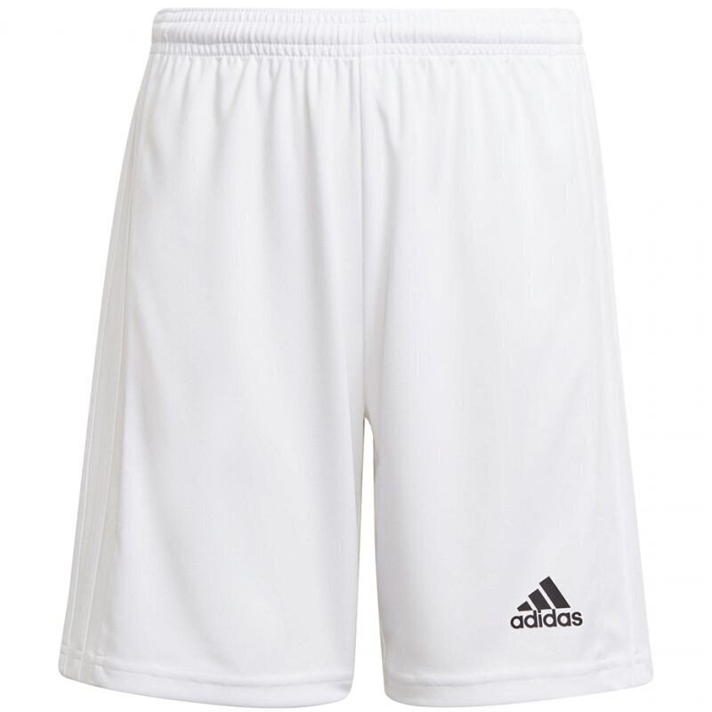 Poiste lühikesed spordipüksid Adidas Squadra 21 Short Youth Jr GN5765, valge hind ja info | Poiste lühikesed püksid | kaup24.ee