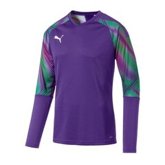 Meeste džemper Puma CUP GK LS M 703771-40 (51381), lilla hind ja info | Meeste pusad | kaup24.ee