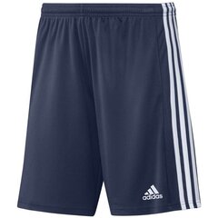 Meeste lühikesed püksid Adidas Squadra 21 Short M GN5775, sinine цена и информация | Мужские шорты | kaup24.ee