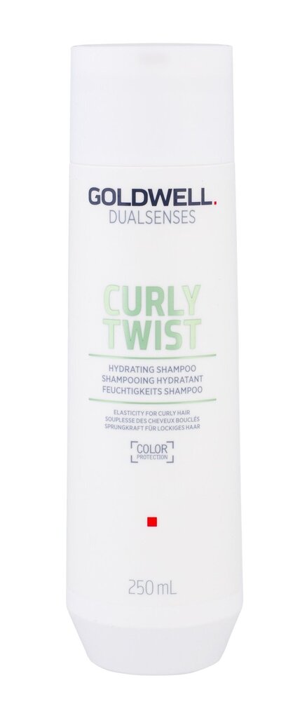 Šampoon Goldwell Dualsenses Curly Twist naistele 250 ml цена и информация | Šampoonid | kaup24.ee