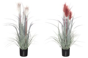 4Living искусственное растение Тростник, 81 см цена и информация | Искусственные цветы | kaup24.ee