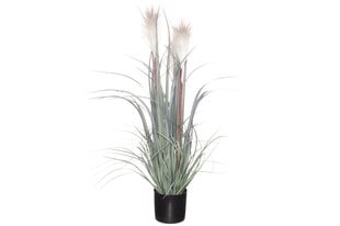 4Living искусственное растение Тростник, 81 см цена и информация | Искусственные цветы | kaup24.ee