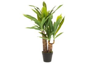 4Elav kunsttaim Yucca, 85 cm hind ja info | Sisustuselemendid | kaup24.ee