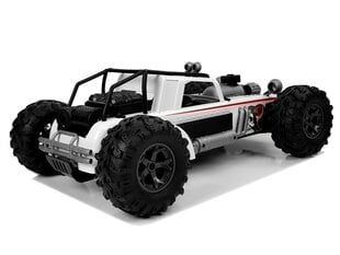 Дистанционно управляемый Auto Buggy 1:12 2.4G, белый цена и информация | Игрушки для мальчиков | kaup24.ee