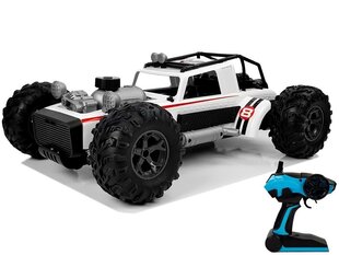 Дистанционно управляемый Auto Buggy 1:12 2.4G, белый цена и информация | Развивающий мелкую моторику - кинетический песок KeyCraft NV215 (80 г) детям от 3+ лет, бежевый | kaup24.ee