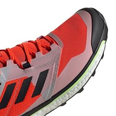 Походные ботинки мужские, Adidas Terrex Agravic XT M EF2109 оранжевые цена и информация | Мужские ботинки | kaup24.ee