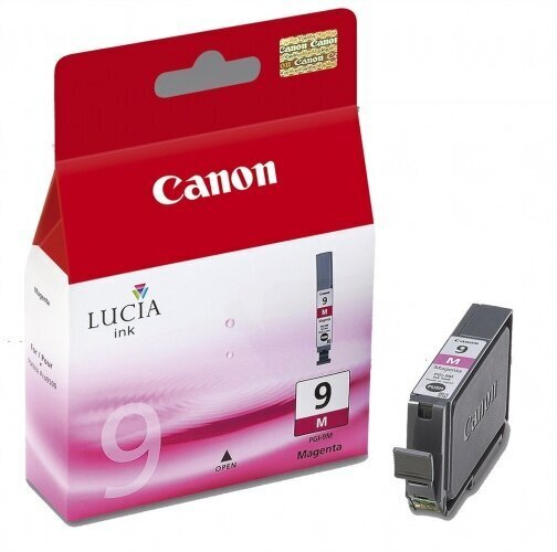 Canon Ink PGI-9 Magenta (1036B001) цена и информация | Tindiprinteri kassetid | kaup24.ee