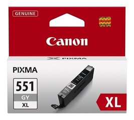 Оригинальные чернила Canon CLI-551XL Grey 11ml цена и информация | Картриджи для струйных принтеров | kaup24.ee