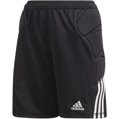 Poiste lühikesed püksid Adidas Tierro JR FS0172, 52939 hind ja info | Poiste lühikesed püksid | kaup24.ee