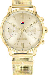 Женские часы Tommy Hilfiger 1782302 цена и информация | Женские часы | kaup24.ee