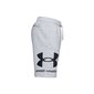 Meeste lühikesed püksid Under Armor Rival Fleece Big Logo Shorts M 1357118-011, hall цена и информация | Meeste spordiriided | kaup24.ee