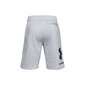 Meeste lühikesed püksid Under Armor Rival Fleece Big Logo Shorts M 1357118-011, hall цена и информация | Meeste spordiriided | kaup24.ee