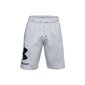 Meeste lühikesed püksid Under Armor Rival Fleece Big Logo Shorts M 1357118-011, hall hind ja info | Meeste spordiriided | kaup24.ee