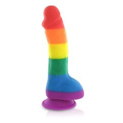 Vibraator Vikerkaare peenis pallidega Pride Dildo hind ja info | Vibraatorid | kaup24.ee