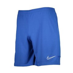 Nike шорты для мужчин Dry Academy 21 M CW6107-480, синие цена и информация | Мужская спортивная одежда | kaup24.ee