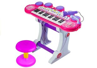Klaver mikrofoni ja tooliga, USB, roosa цена и информация | Развивающие игрушки | kaup24.ee