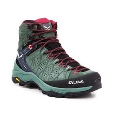 Naiste matkasaapad, Salewa WS Alp Trainer 2 Mid GTXW 61383-5085, sinist värvi цена и информация | Женские сапоги | kaup24.ee