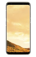 Samsung EF-QG955CFE Оригинальный супер тонкий чехол-крышка G955 Galaxy S8 Plus / S8+ Прозрачный/Золотой цена и информация | Чехлы для телефонов | kaup24.ee