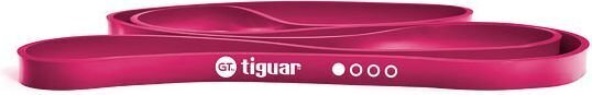 TIGUAR® PowerBand GT kummipaelad, Violetne цена и информация | Treeningkummid | kaup24.ee