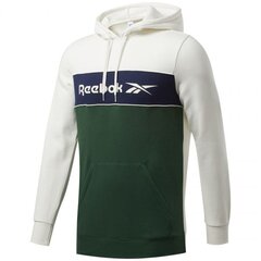 Джемпер для мужчин Reebok Classic Linear Hoodie M GD0436 цена и информация | Мужские толстовки | kaup24.ee