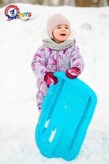 Ледянка-санки для детей, зеленого цвета цена и информация | Санки | kaup24.ee