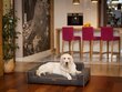 Hobbydog pesa Glamour New Brown Inari, L, 78x53 cm hind ja info | Pesad, padjad | kaup24.ee