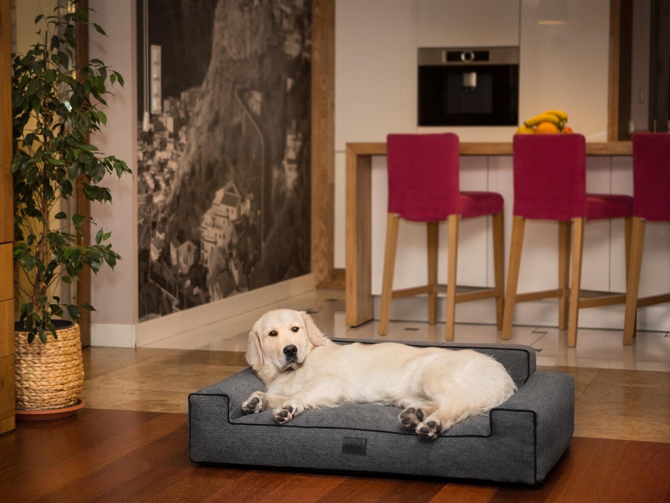 Hobbydog pesa Glamour New Black Inari, XL, 98x66 cm hind ja info | Pesad, padjad | kaup24.ee