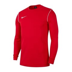 Poiste džemper Nike Park 20 Crew Jr BV6901-657 džemper, 54370 цена и информация | Свитеры, жилетки, пиджаки для мальчиков | kaup24.ee