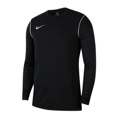 Джемпер для мальчиков Nike Park 20 Crew Jr BV6901-010, 54385 цена и информация | Свитеры, жилетки, пиджаки для мальчиков | kaup24.ee