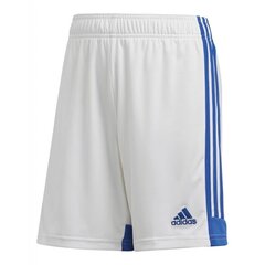 Poiste lühikesed spordipüksid Adidas Tastigo 19 Jr FR0748, valge цена и информация | Шорты для мальчиков | kaup24.ee