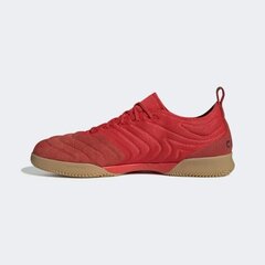 Jalgpallijalatsid Adidas Copa 20.1 IN G28623 цена и информация | Футбольные бутсы | kaup24.ee