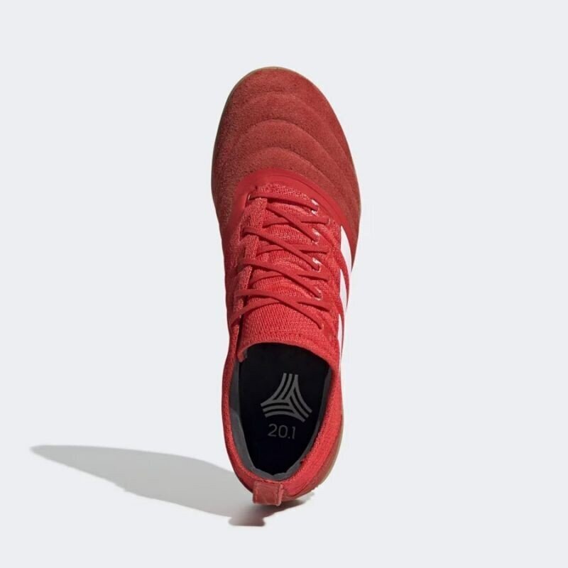Jalgpallijalatsid Adidas Copa 20.1 IN G28623 hind ja info | Jalgpallijalatsid | kaup24.ee