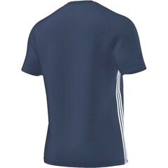 T -särk Adidas Euro hind ja info | Jalgpalli varustus ja riided | kaup24.ee