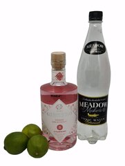 Alkoholivaba kokteil Gin Strawberry toonikuga, 700 ml hind ja info | Mittealkohoolsed joogid | kaup24.ee