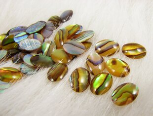 Abalone kestaga kabokoon 8x6 mm, 1 tk. hind ja info | Ehete valmistamine, helmestamine | kaup24.ee