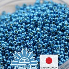 Бисер TOHO® Seed Beads Permafinish - Galvanized Aqua Sky TR-11-PF582 11/0 (2,2 мм) 10 г. цена и информация | Принадлежности для изготовления украшений, бисероплетения | kaup24.ee