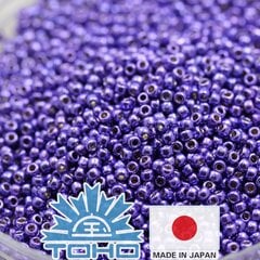 Бисер TOHO® Seed Beads Permafinish - оцинкованный фиолетовый TR-11-PF581 11/0 (2,2 мм) 10 г. цена и информация | Принадлежности для изготовления украшений, бисероплетения | kaup24.ee