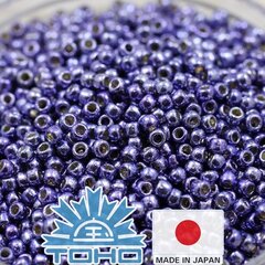 Бисер TOHO® Seed Beads PermaFinish - Metallic Polaris TR-11-PF567 11/0 (2,2 мм) 10 г. цена и информация | Принадлежности для изготовления украшений, бисероплетения | kaup24.ee