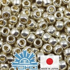Бисер TOHO® Seed Beads PermaFinish - гальванизированный алюминий TR-11-PF558 11/0 (2,2 мм) 10 г. цена и информация | Принадлежности для изготовления украшений, бисероплетения | kaup24.ee