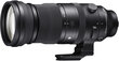 Sigma 150-600mm f/5-6.3 DG DN OS Sports objektiiv Sonyle hind ja info | Objektiivid | kaup24.ee