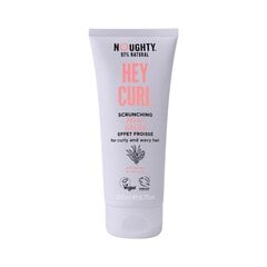 NOUGHTY Hey Curl lokigeel 200ml hind ja info | Viimistlusvahendid juustele | kaup24.ee