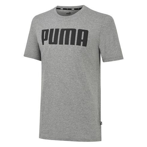 Meeste T-särk Puma, hall цена и информация | Meeste T-särgid | kaup24.ee