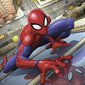 Ravensburger pusle 3x49 tk Spiderman hind ja info | Pusled | kaup24.ee