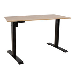Письменный стол ERGO с 1 мотором 160x80см, гикори/черный цена и информация | Компьютерные, письменные столы | kaup24.ee