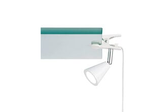 Лампа для чтения FH Lighting Zirbel цена и информация | Настольные лампы | kaup24.ee