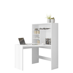 Компьютерный стол Zayden цена и информация | Компьютерные, письменные столы | kaup24.ee